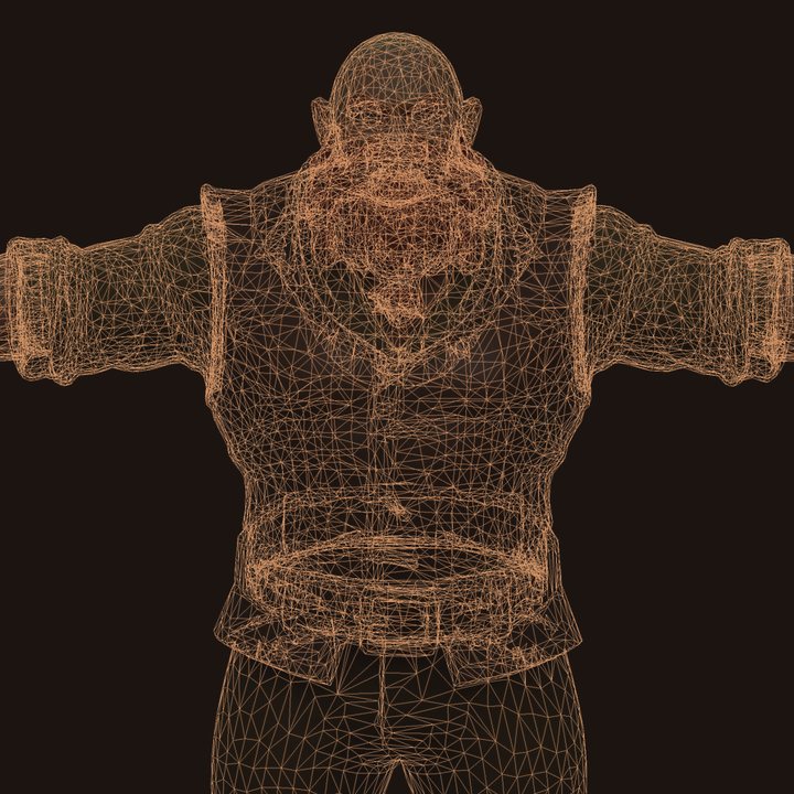 Wireframe of the 3D model